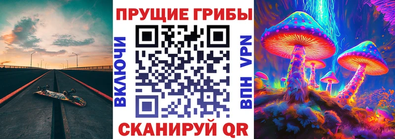 цены   Белинский  Галлюциногенные грибы мицелий 