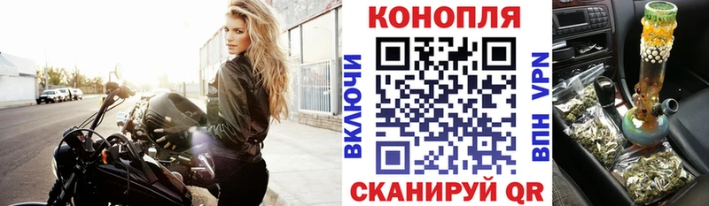 Бошки Шишки планчик  Белинский 